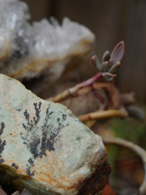nature-3291540_1280 Close-up of a rock with black dendritic patterns, surrounded by blurred succulent plants in the background for a natural, earthy composition.